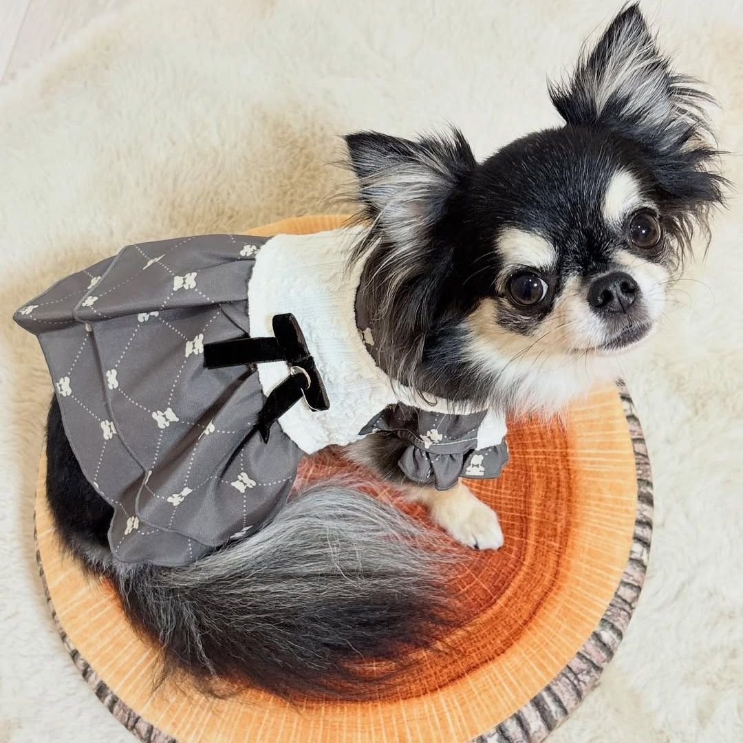チワワ 犬服 ココアトワ 着用例