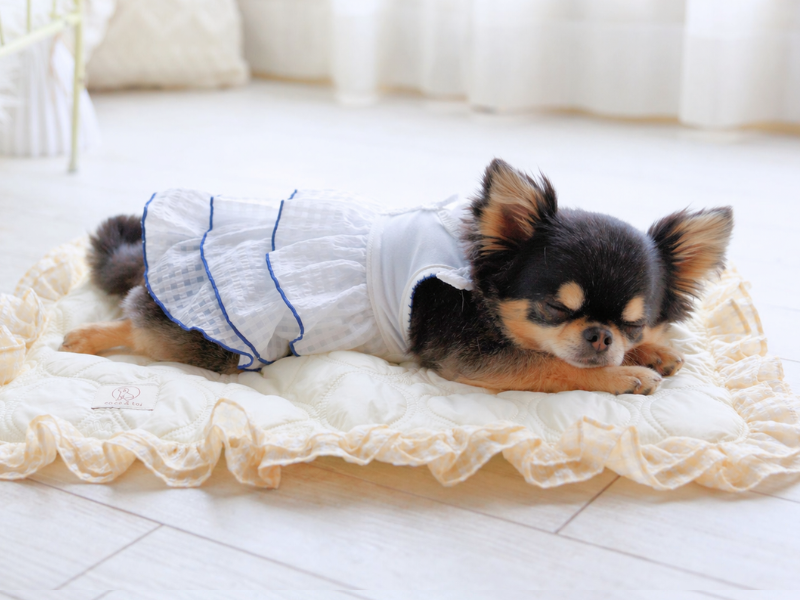 犬 暑さ対策 夏服 涼しい犬服 ココアトワ