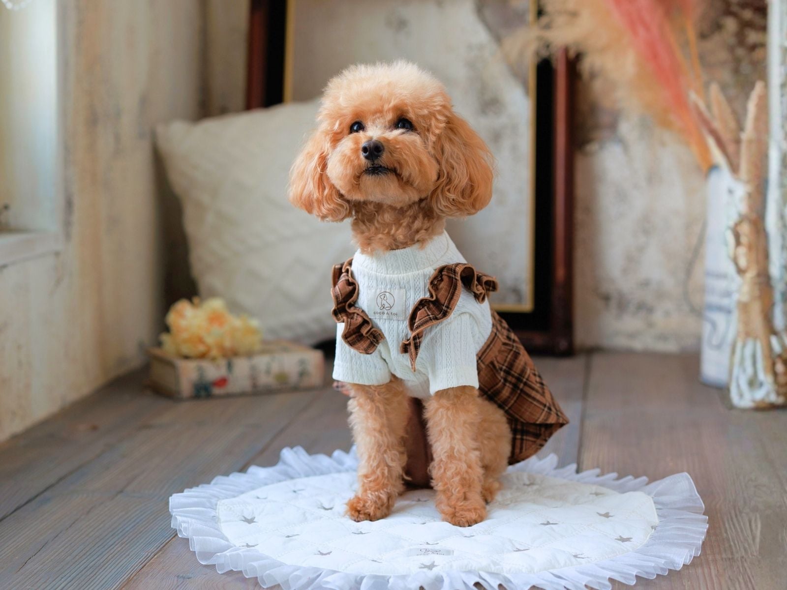 トイプードルにおすすめの犬服 ココアトワ