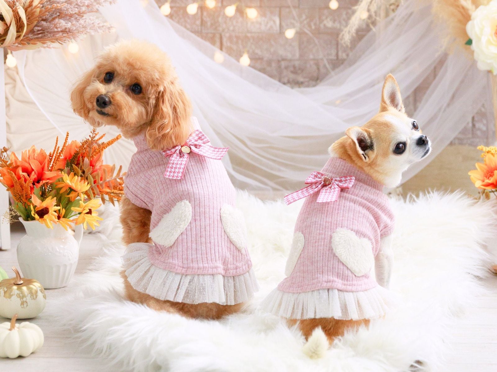 バレンタイン 犬服｜ふわふわハートプルオーバー（小型犬向け）正面デザイン