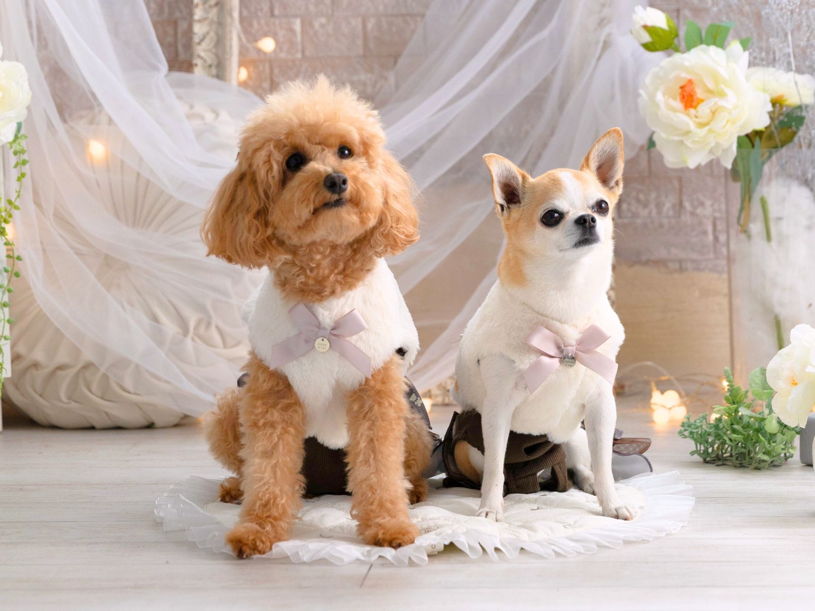 バレンタイン 犬服｜ハートモチーフフェイクファーベスト（小型犬）正面