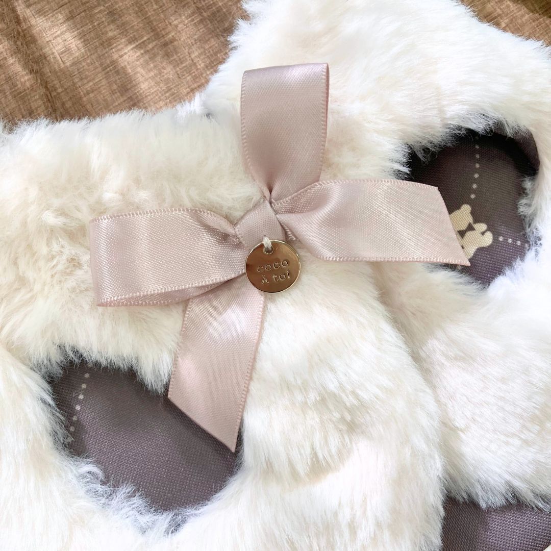 小型犬 バレンタイン服｜重ね着しやすい袖なしベストの着用イメージ