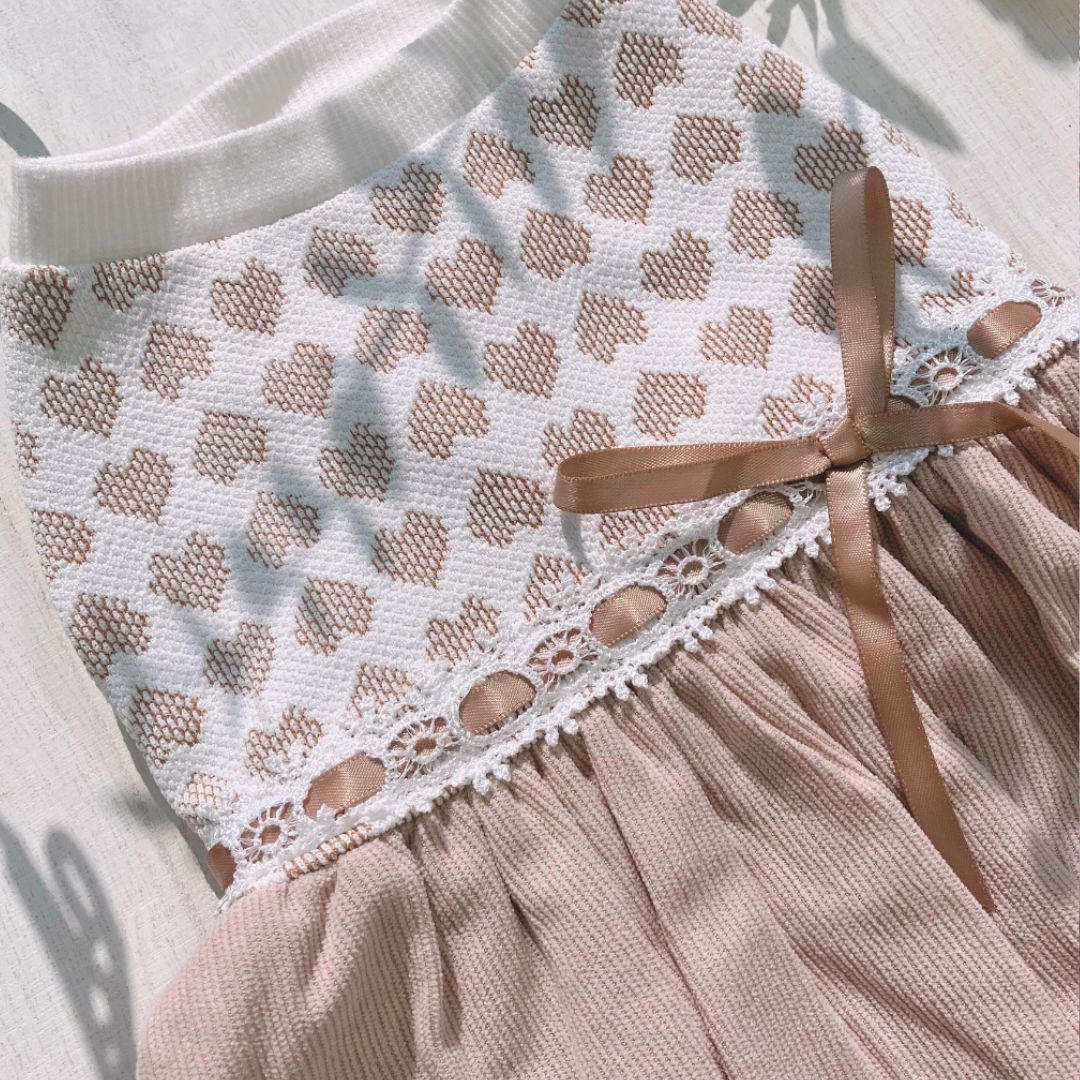 小型犬 バレンタイン服｜ティアードでふんわり広がるワンピースの印象