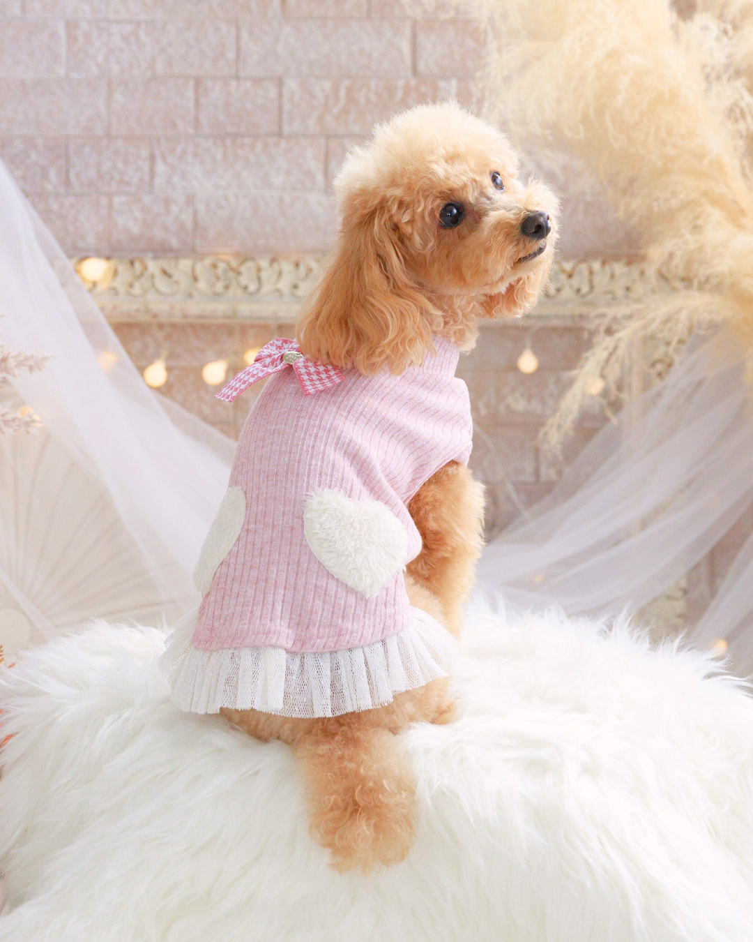 バレンタインの犬服｜ふわふわハートプルオーバーの全身バランス（小型犬）