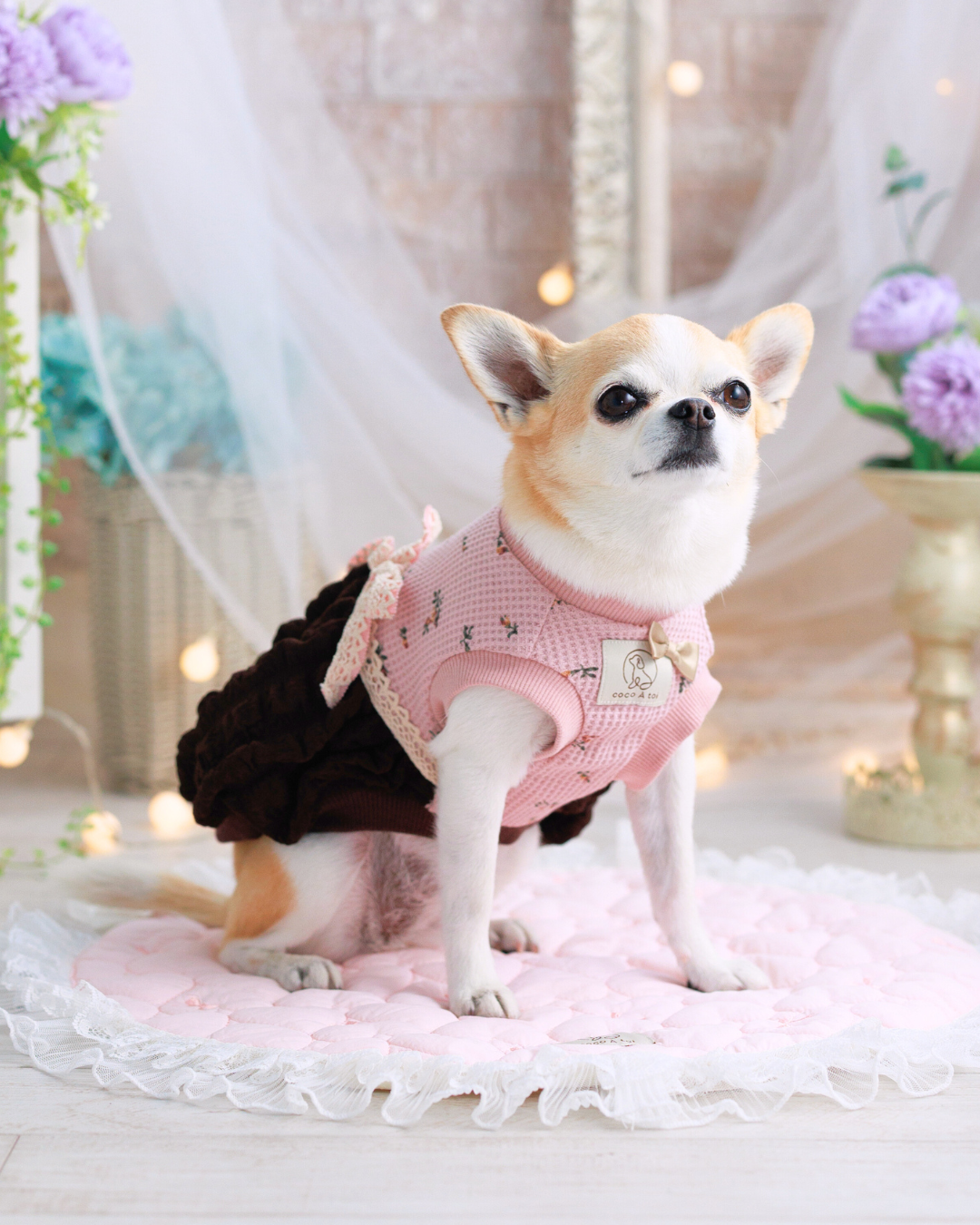 バレンタインの犬服｜ぽこぽこポップコーンワンピース（小型犬）