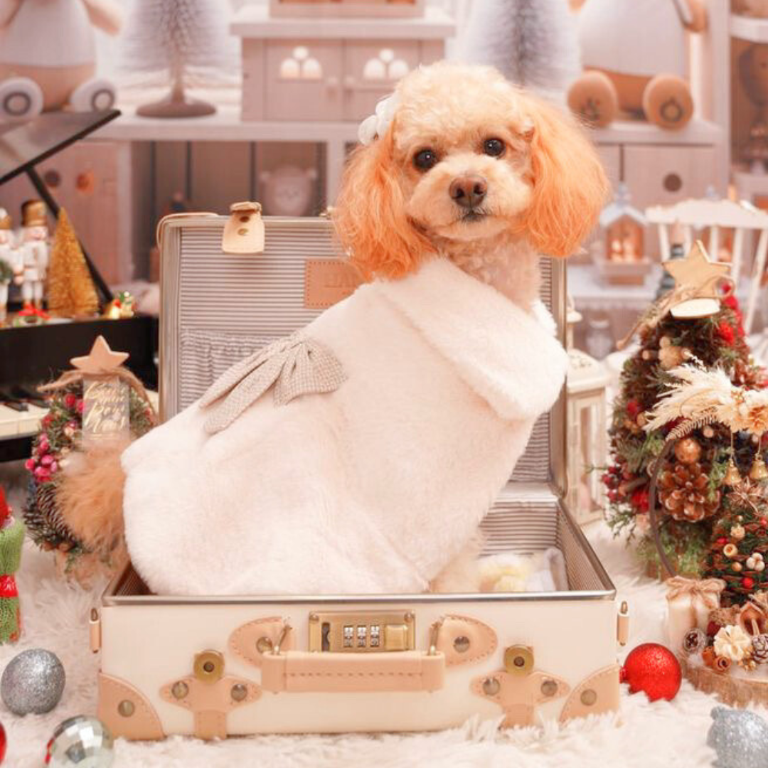 犬 冬服 ココアトワ 着用例