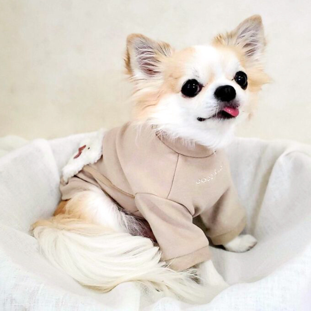 犬 防寒 ココアトワ 冬服