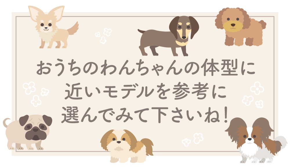 チワワモデル犬 サイズ比較4 ココアトワ