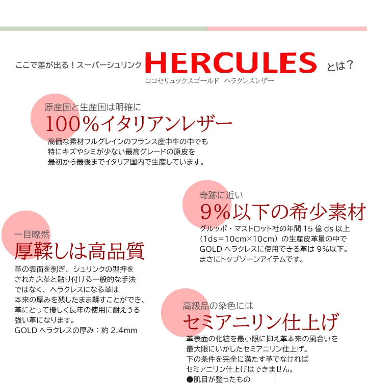 【未使用品】COCOCELUX GOLD ヘラクレス　シュリンクベルトデザイン ハンドバッグ カタログ 購入
