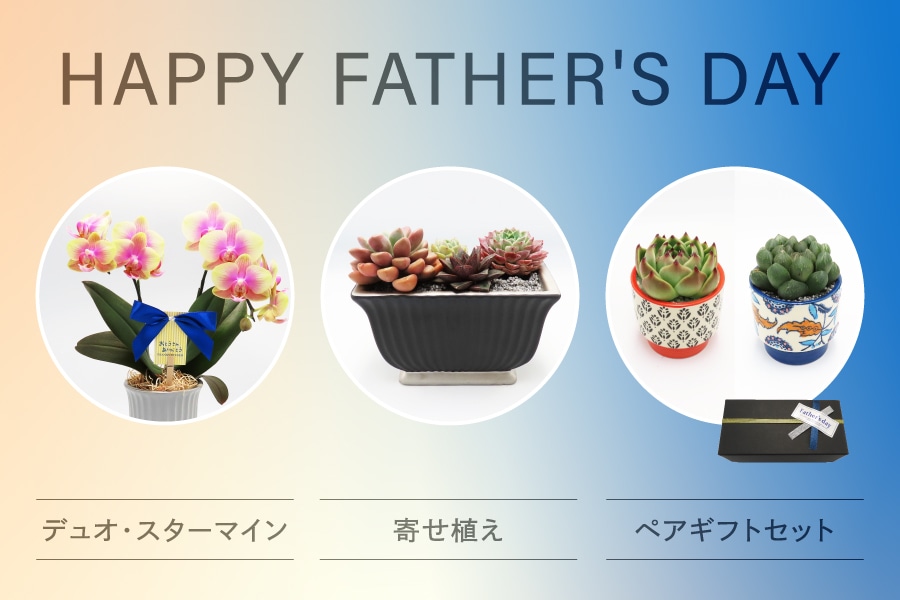  HAPPY FATHER'S DAY 