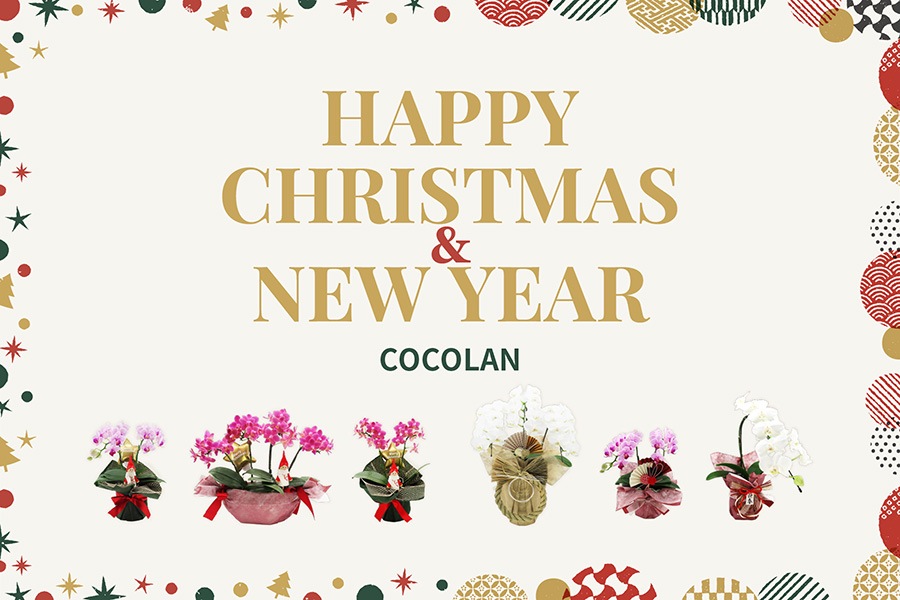 COCOLAN �ߤΤ���������