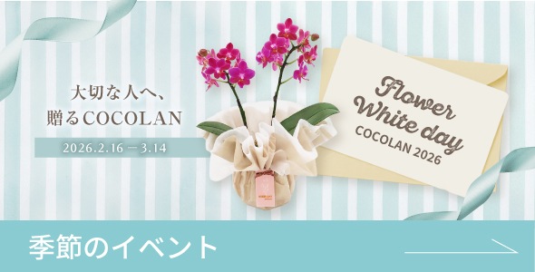 季節のイベント