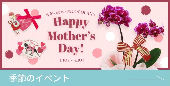 ����Υ��٥��