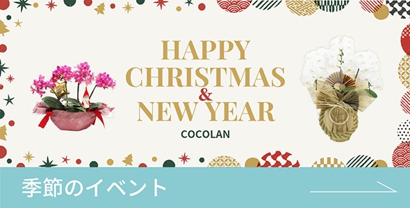 ����Υ��٥��