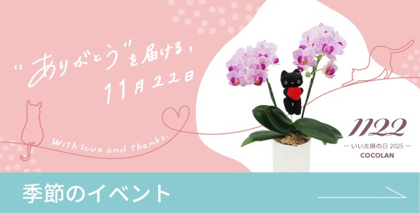 季節のイベント