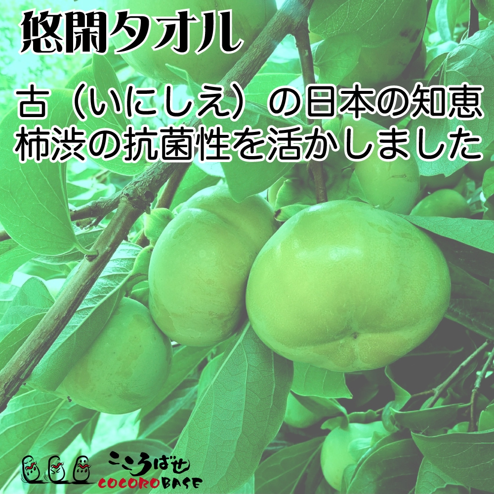 古の日本の知恵。柿渋の抗菌性に着眼しました。