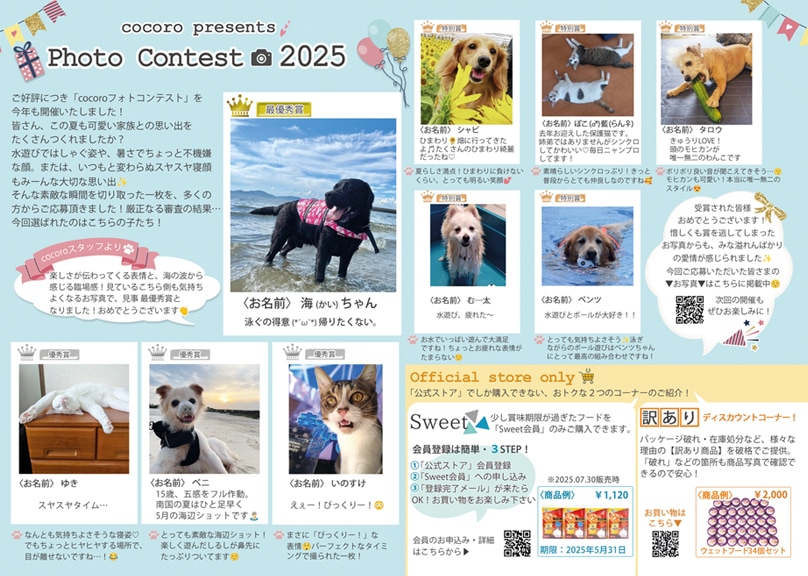 会報誌vol.18 中身