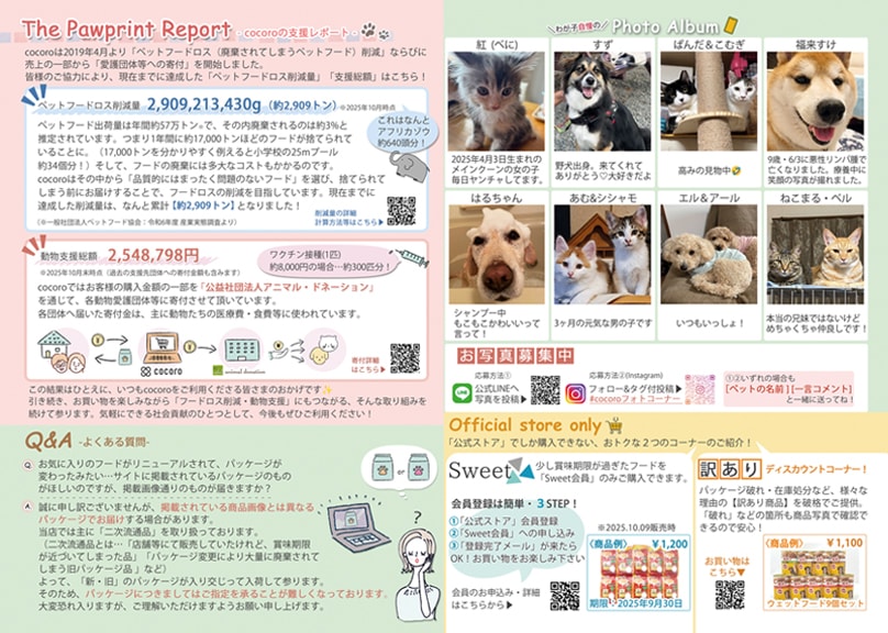 会報誌vol.19 中身