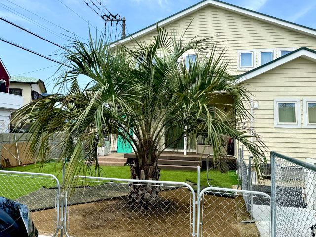 施工事例4（ホバー）