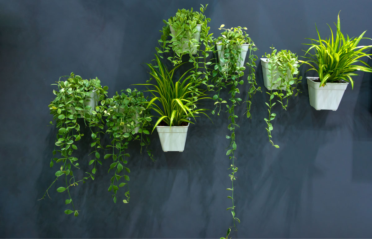 グリーンディスプレイ例1