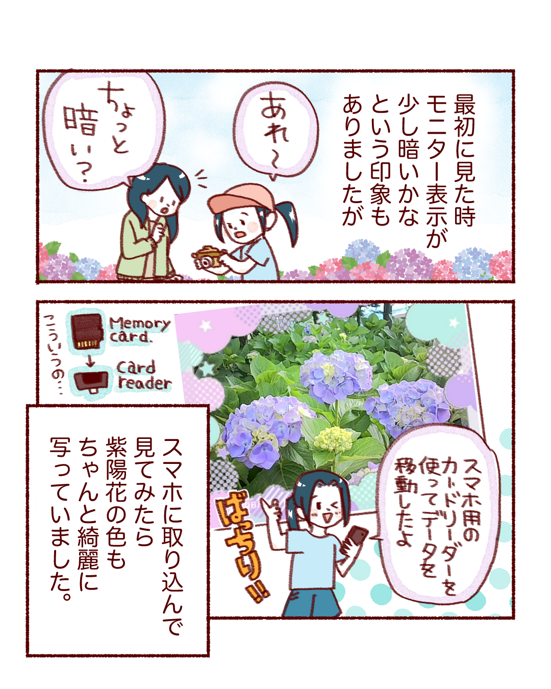 ピントキッズ漫画