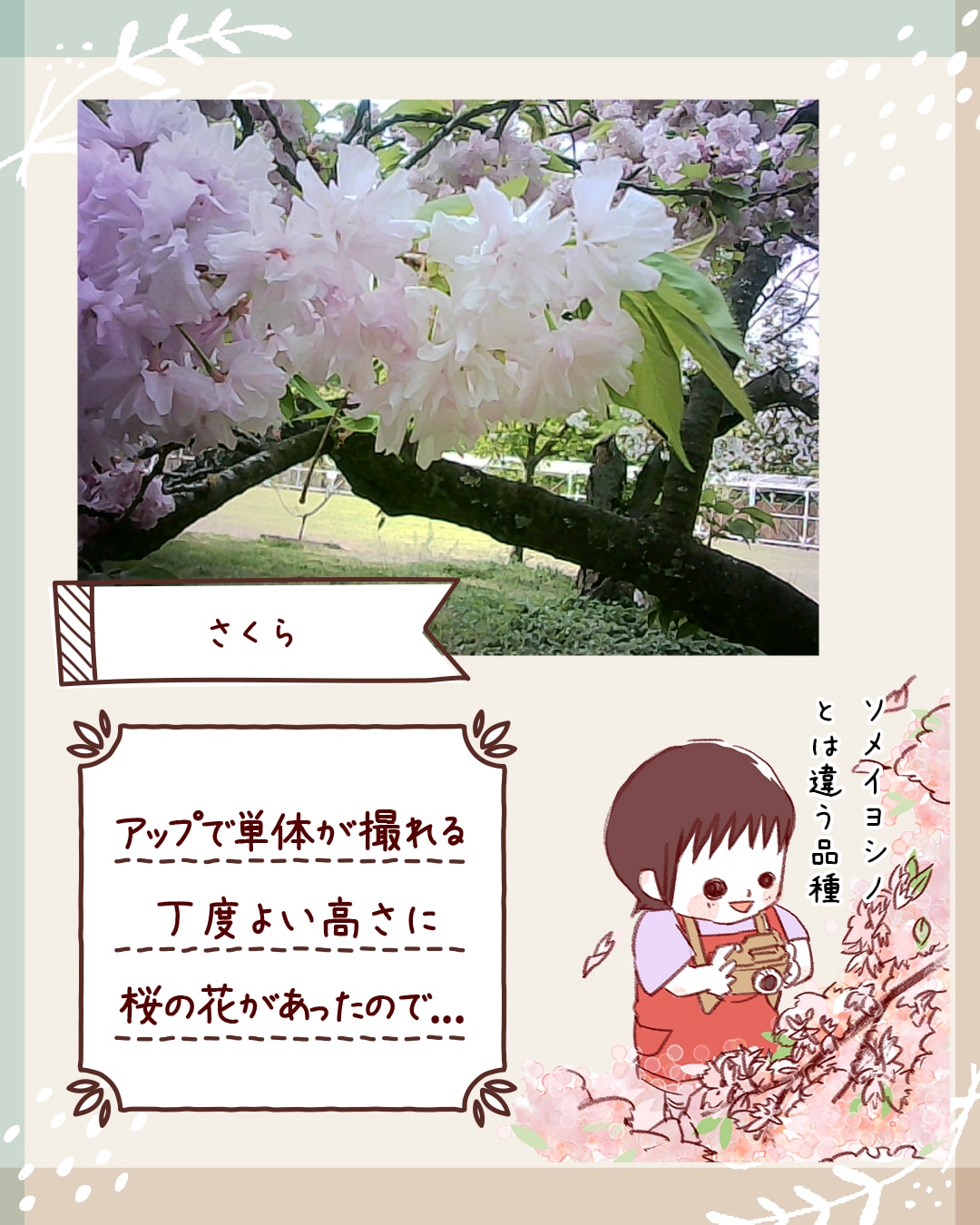 ピントキッズ漫画