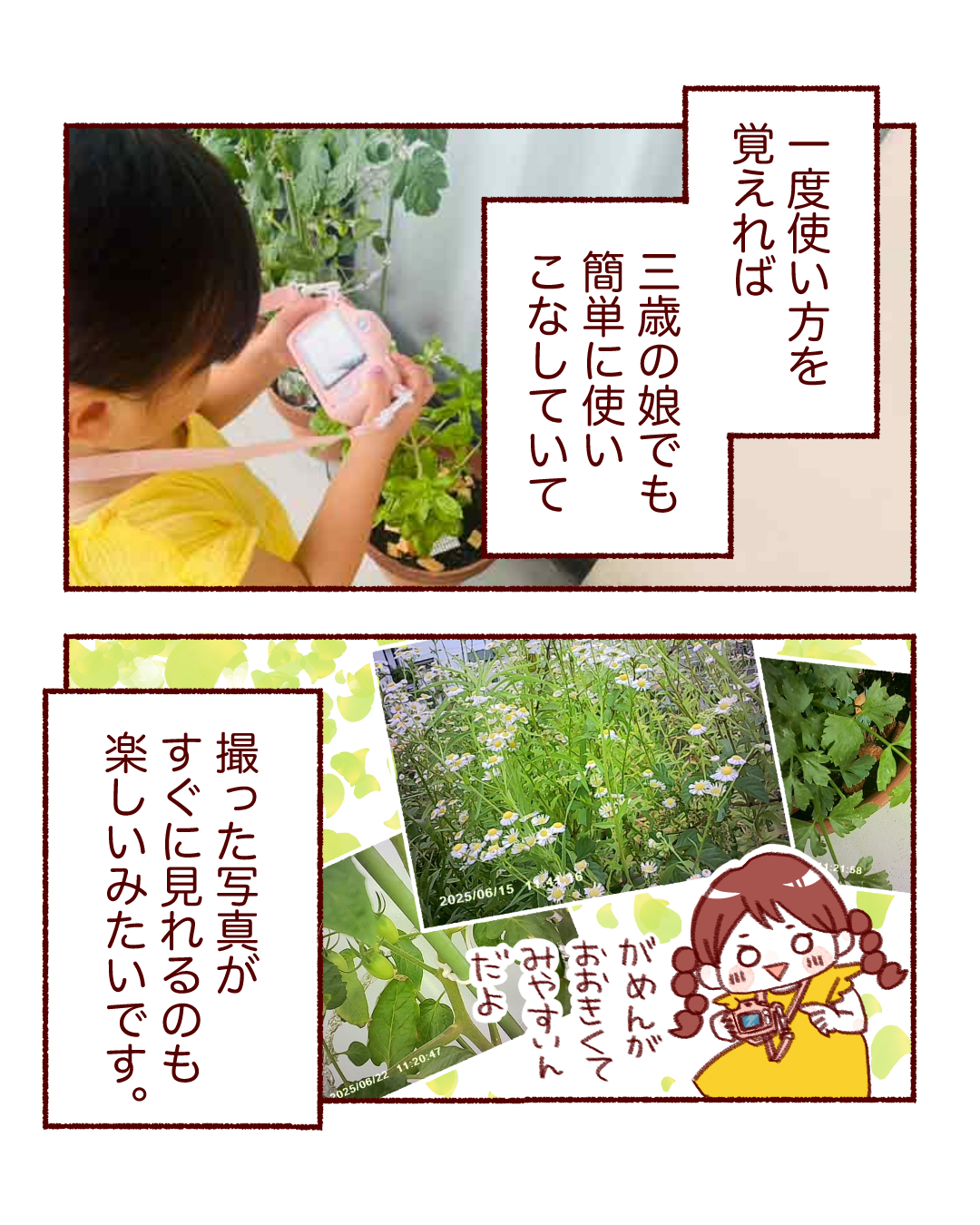 ピントキッズ漫画