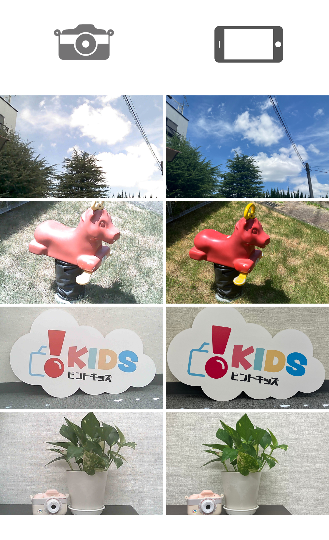 ピントキッズ画素数参考撮影例