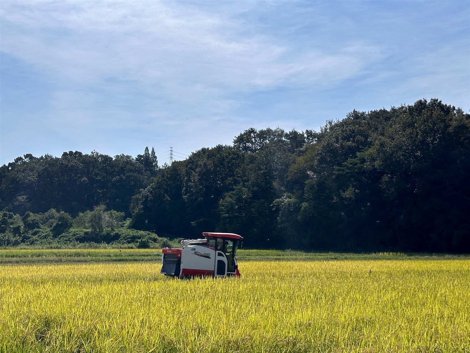 ココトモファームの収穫風景