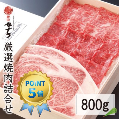 厳選焼肉詰合セット(800g)