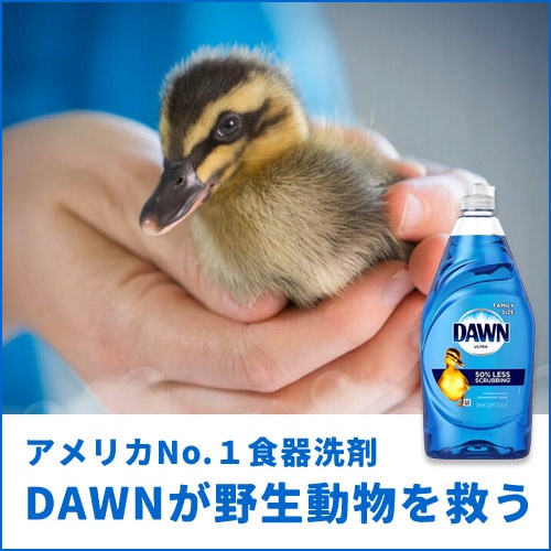 アメリカで最も売れている食器洗剤 DAWNドーン が野生動物を救う。なぜパッケージにカモのイラストが描かれているの？の疑問に答えます。