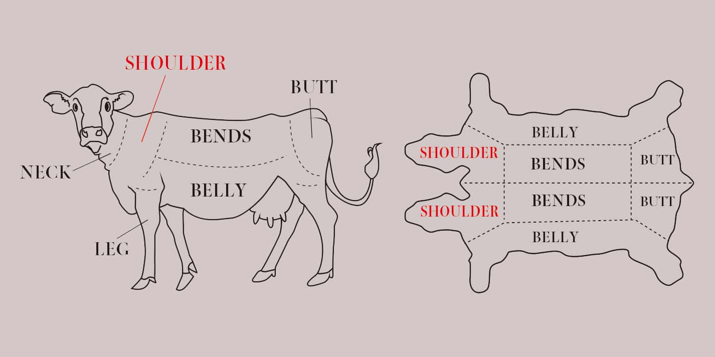 牛革の部位の詳細