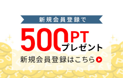 500pt プレゼント