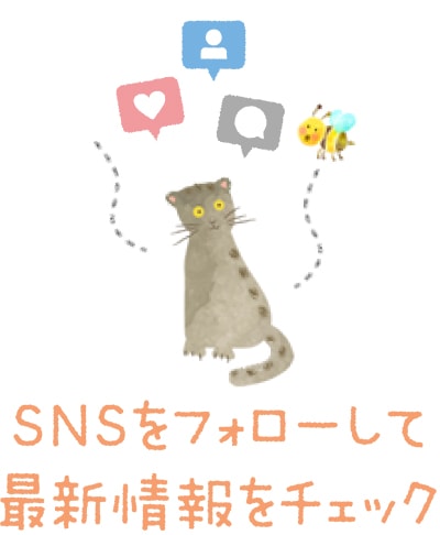 SNSをフォローして最新情報をチェック