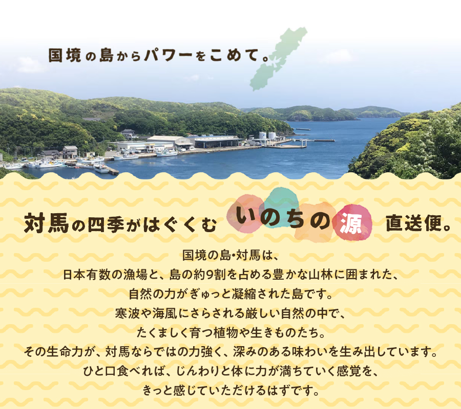 対馬の四季がはぐくむ自然の恵み