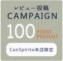 レビュー投稿で100ポイント進呈