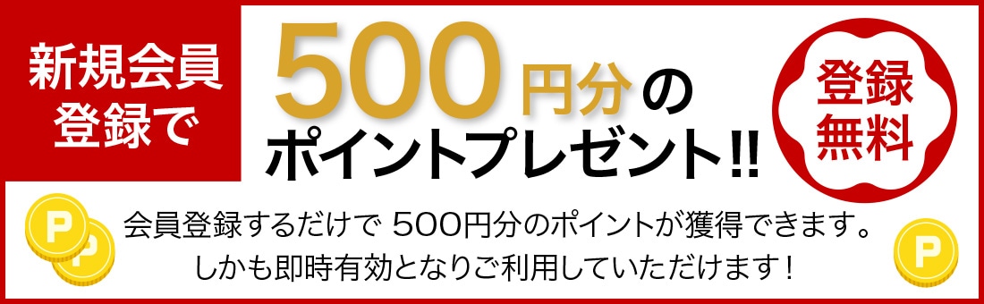 500円ポイントプレゼントpc