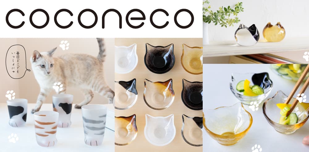 ／ 猫ちゃん好き集まれ～！ ＼