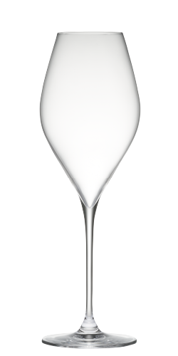 木村硝子店 シャンパングラス ツル 10oz シャンパーニュ 310ml 6個入（11689）