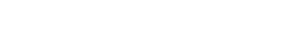 おひとり様1セット限り