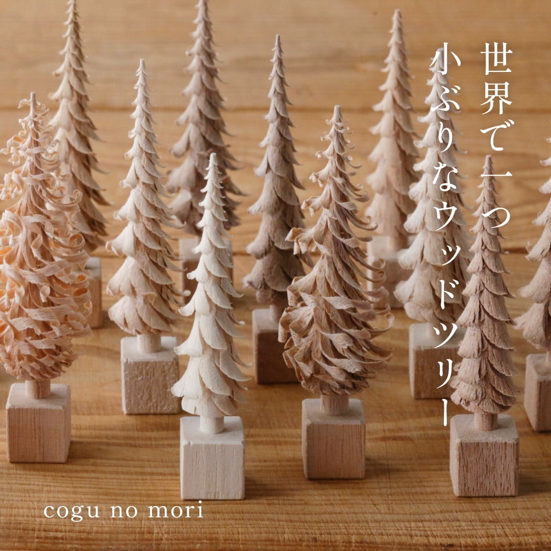 cogu no mori （cogu）