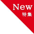 �ý���������