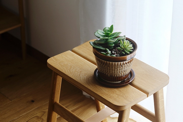 PEACOCK POT、POT PLATE （NOTA & design） | その他の暮らしの道具