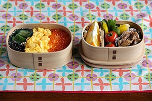 つくし弁当箱 （柴田慶信商店） | お弁当 | cotogoto コトゴト