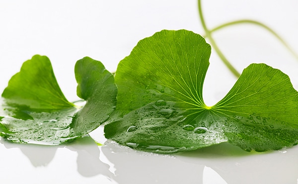 ”シルクのようになめらか！