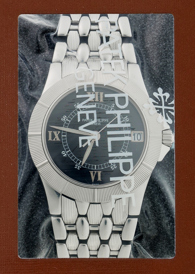 ネプチューン | PATEK PHILIPPE | 5080/1A-011