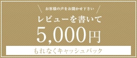 レビューを書いて5000円キャッシュバック
