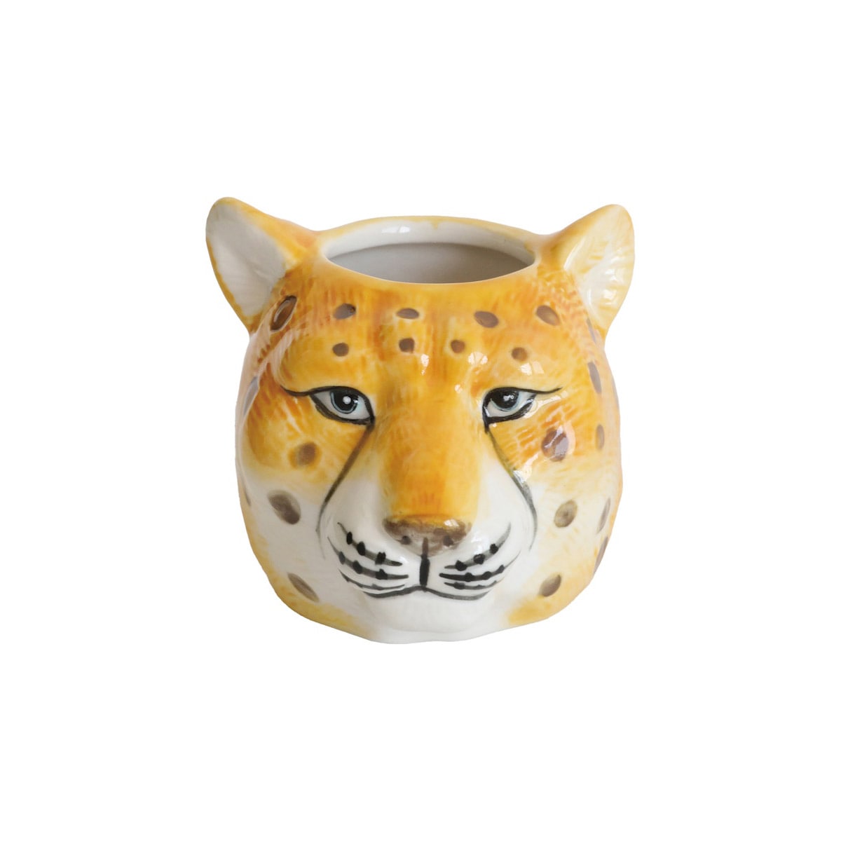 アニマルカップ・レオス