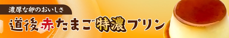 ��ǻ��ץ��