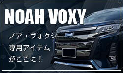 NOAH VOXY